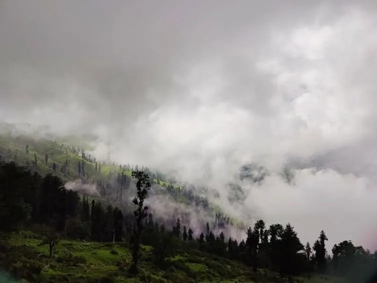 Mist on the hills